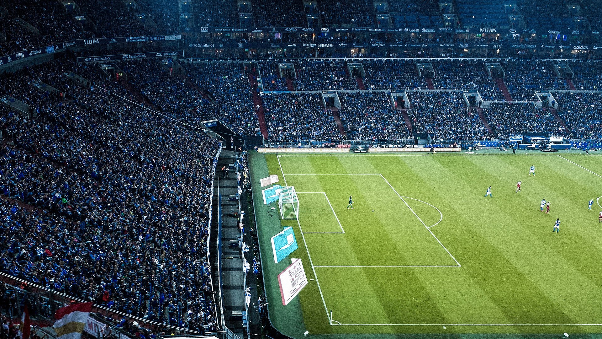 kaiyun-“智慧场馆+绿色基础”行业新标准在全国落地不断推进，绿色标准化生产示范基地